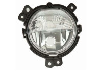 Fog light