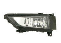 Fog light