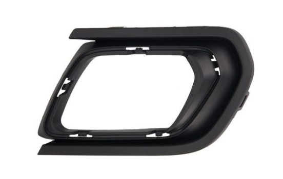 Housing, front fog lamp