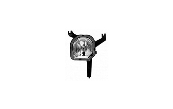 Right fog lamp from '99 4038998 Van Wezel