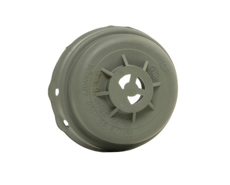 Hood, headlight 9GH 126 647-011 Hella