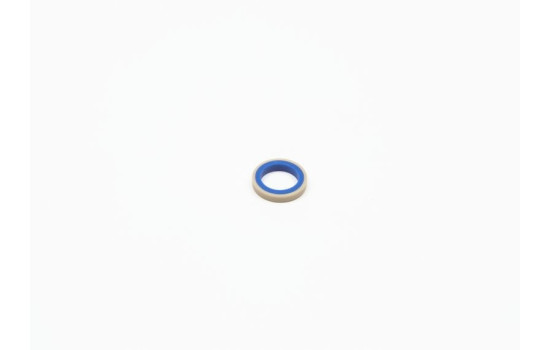 Seal, frame, headlight, Image 4