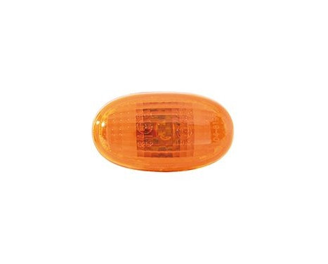 Indicator 0807914 Van Wezel