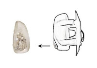 Indicator 3799916 Van Wezel