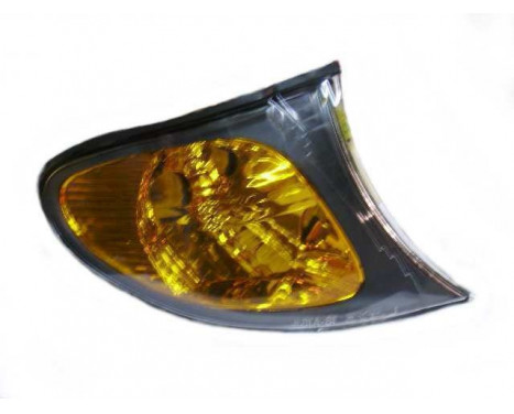 Indicator Light RIGHT 02+ ORANGE per piece 0649918 Van Wezel, Image 2