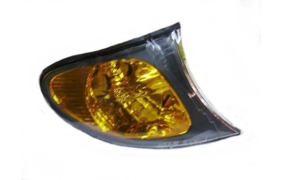 Indicator Light RIGHT 02+ ORANGE per piece 0649918 Van Wezel, Image 2
