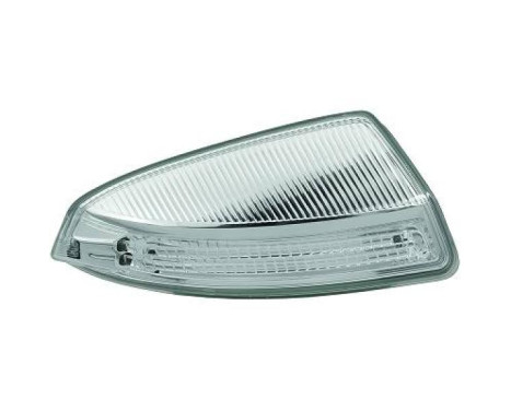 Indicator Light right in exterior mirror 1672270 Diederichs