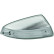 Indicator Light right in exterior mirror 1672270 Diederichs
