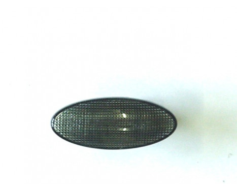 Left/right side indicator SMOKED 3766915 Van Wezel, Image 2