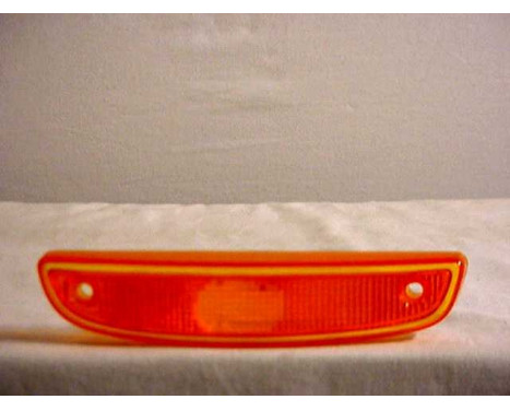 Light glass, indicator 4342903 Van Wezel, Image 2