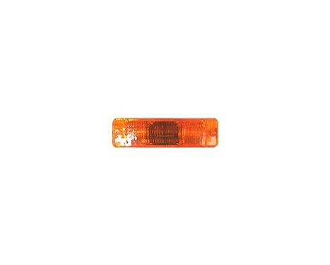 Light glass, indicator 5810914 Van Wezel