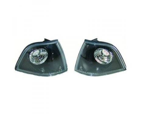Set of turn signals 1213576 Diederichs