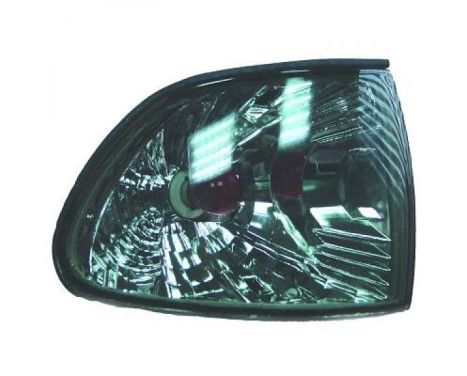 Set of turn signals 1242077 Diederichs