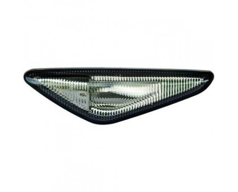 Set of turn signals 1291176 Diederichs