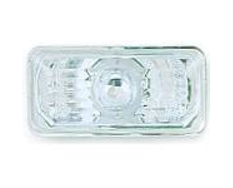 Set of turn signals 2212077 Diederichs