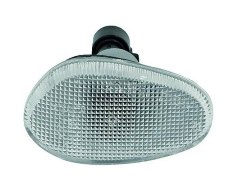 Set of turn signals 3040075 Diederichs