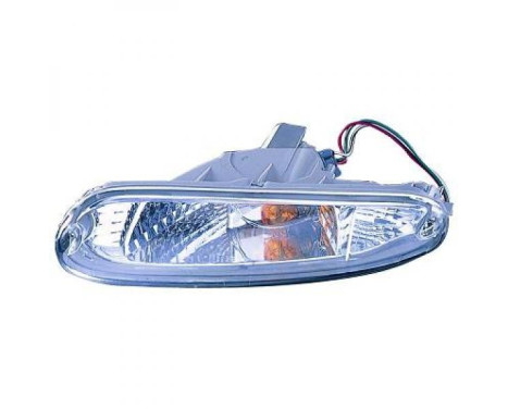 Set of turn signals 5650175 Diederichs