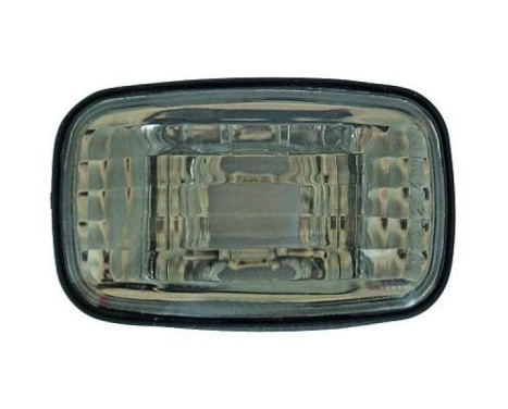 Set of turn signals 6672878 Diederichs