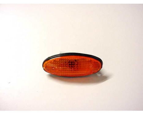 Side turn signal left/right from '98 ORANGE 3306913 Van Wezel