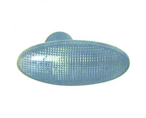 Turn signal 1824078 Diederichs