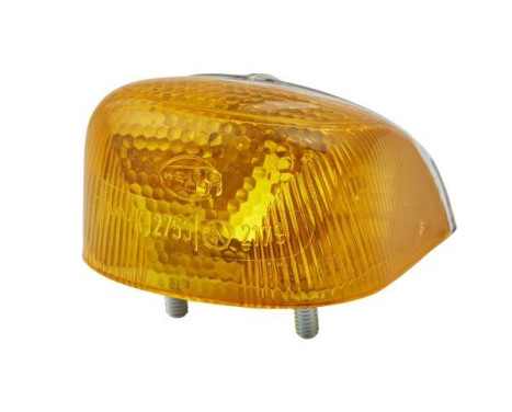 turn signal 2BA 001 244-001 Hella