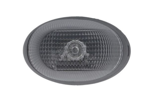 Turn signal