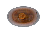 Turn signal