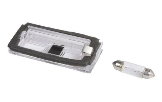 License plate lamp