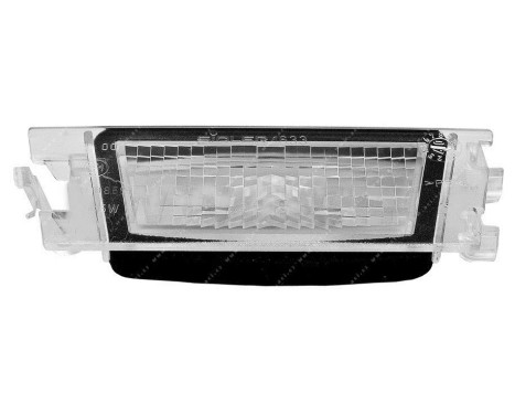 License plate light 3326678091006 Origineel