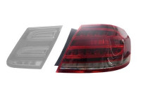 Combination Tail Light 2942922 Van Wezel