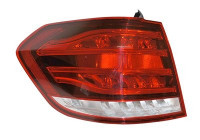 Combination Tail Light 2943925 Van Wezel