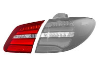 Combination Tail Light 2944928U Van Wezel