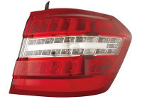 Combination Tail Light 2949926 Van Wezel
