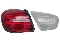 Combination Tail Light 2950921 Van Wezel