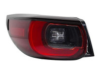 REAR LIGHT GLASS LEFT 2774931 Van Wezel