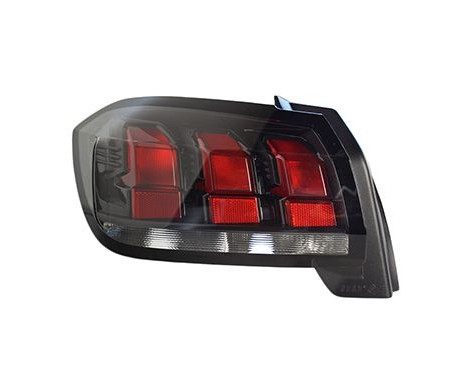REAR LIGHT GLASS LEFT 4043931 Van Wezel