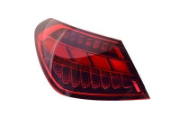 REAR LIGHT LEFT 2902921 Van Wezel