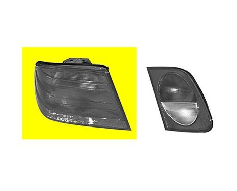 Rear light left up to 9th month 1999 outside 3028921 Van Wezel, Image 2