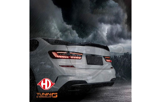 Set Rear Lights HD Tuning 1219196 Diederichs, Image 2