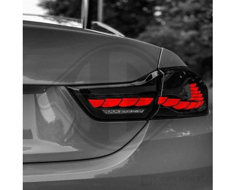 Set Rear Lights HD Tuning 1245891 Diederichs, Image 6