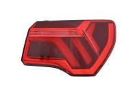 Tail light 1066094 Diederichs