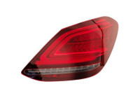 Tail light 1673192 Diederichs