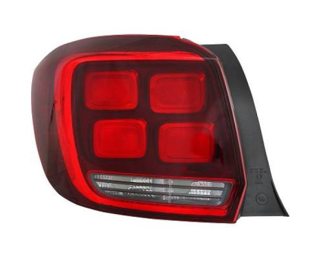 Tail light 4456191 Diederichs