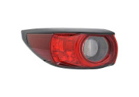 Tail light 5631096 Diederichs