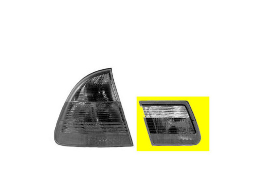 Tail Light GLASS INSIDE L 6246672305003 Origineel