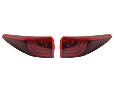 Taillight set