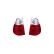 Taillight set