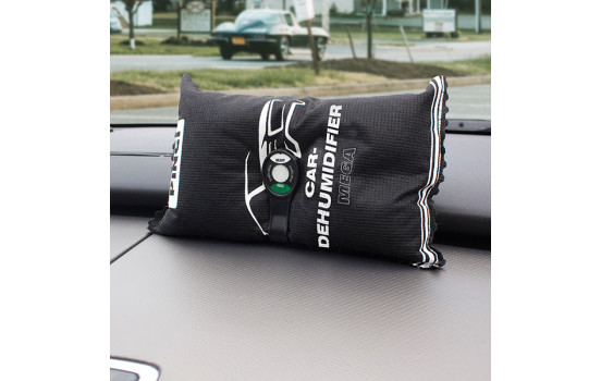 Pingi Deshumidificador De Coche Mega Clip 1 kg, Imagen 3