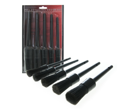 Juego de cepillos para detalles PRO (5 piezas)