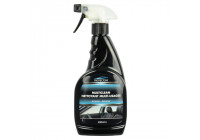 Protecton Multiclean interior/exterior 500 ml